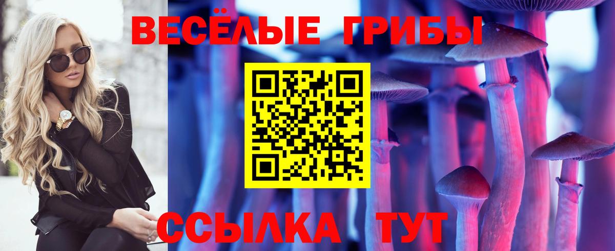 Галлюциногенные грибы GOLDEN TEACHER Чусовой